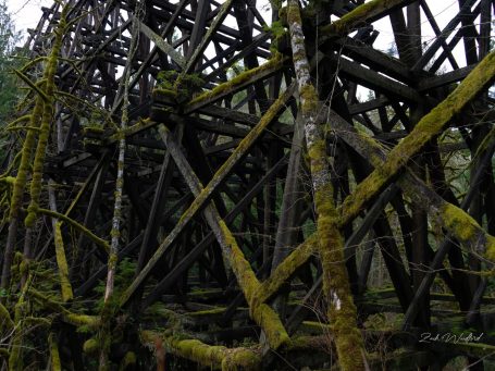 A color image of an abandoned railroad Trussell in Snoqualmie